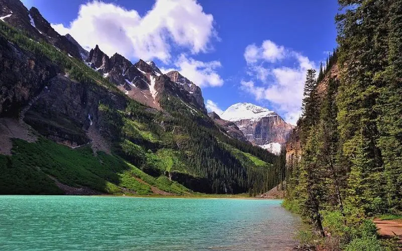 精密数字化绿色